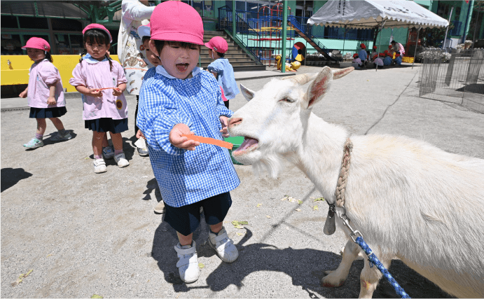 どうぶつえんがやってくる（移動動物園）