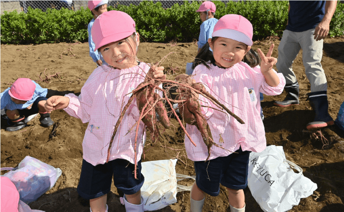 いもほり